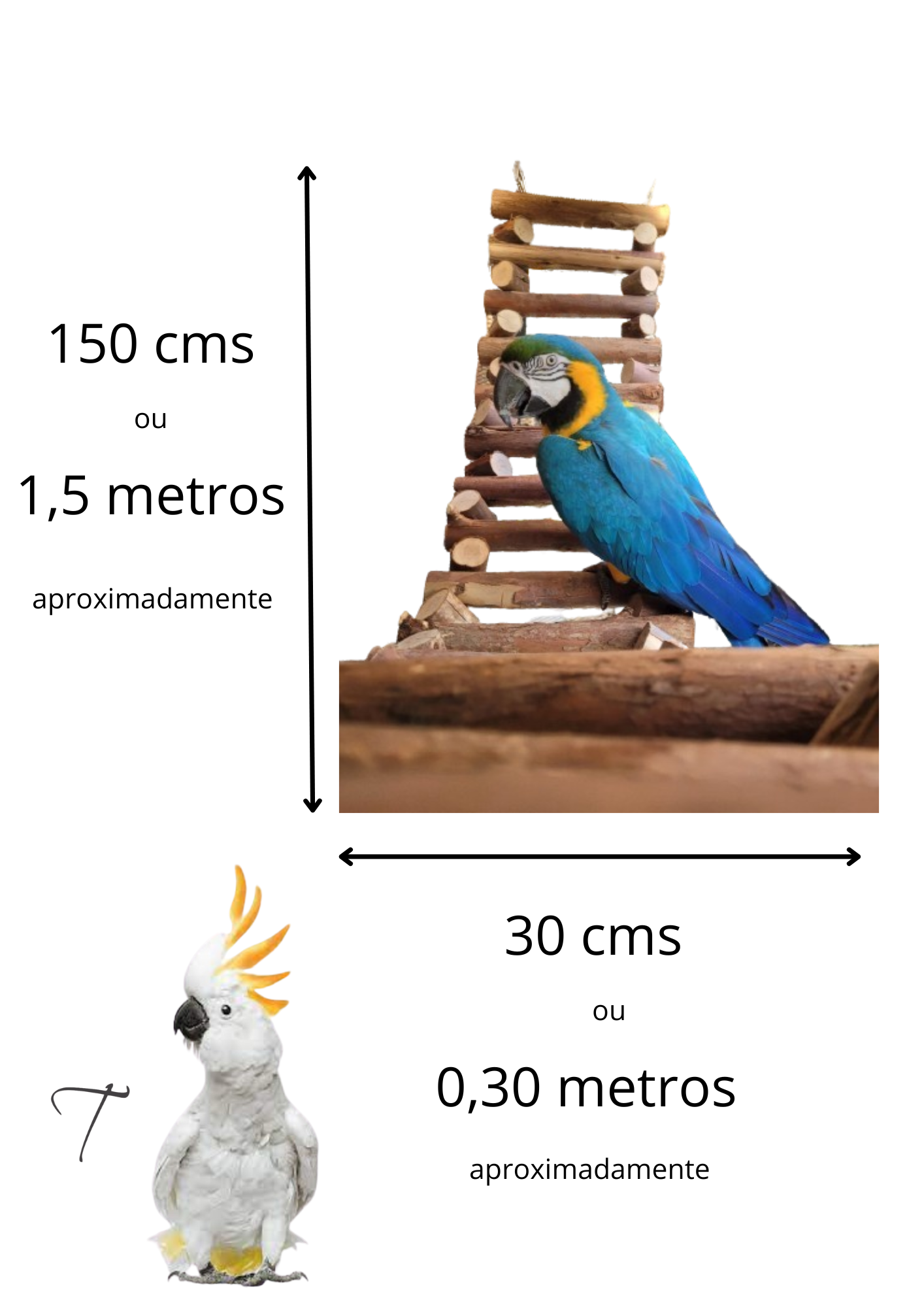 Ponte rústica 1,5 metros - Imagem 2