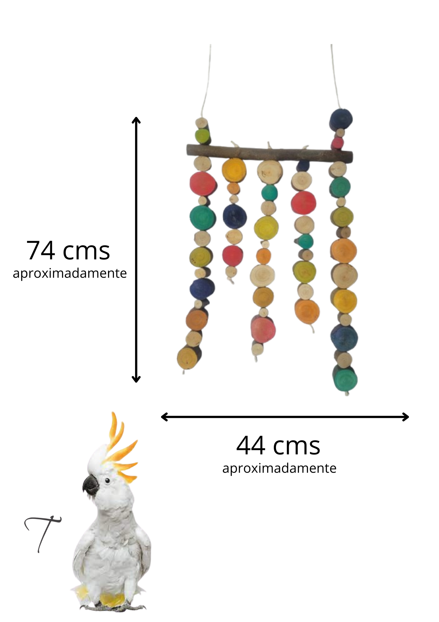 Coleção orgânica mais madeira - Imagem 2