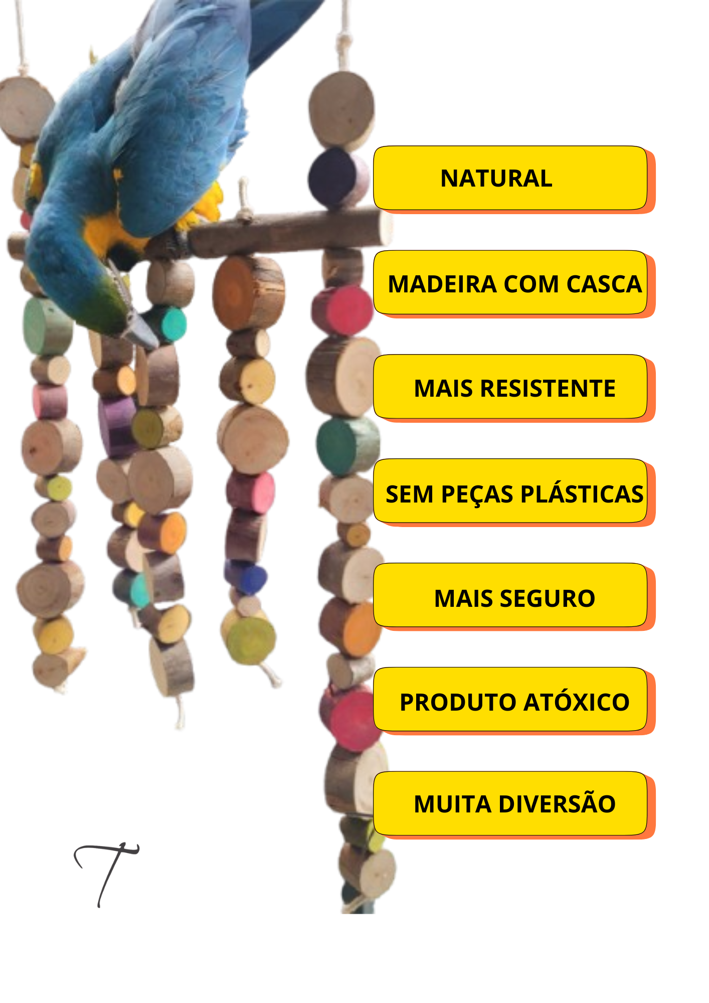 Coleção orgânica mais madeira - Imagem 3