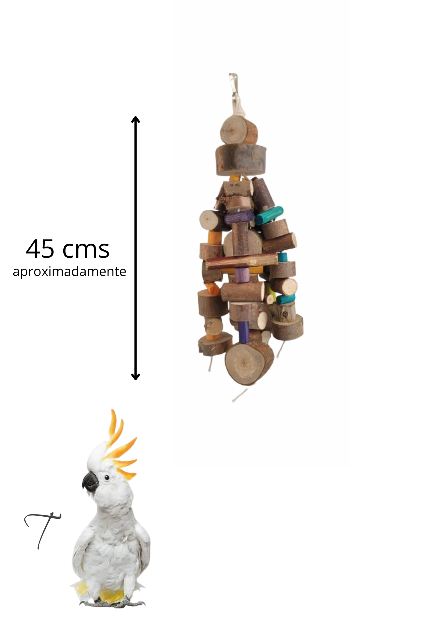 Pêndulo folia - Imagem 2