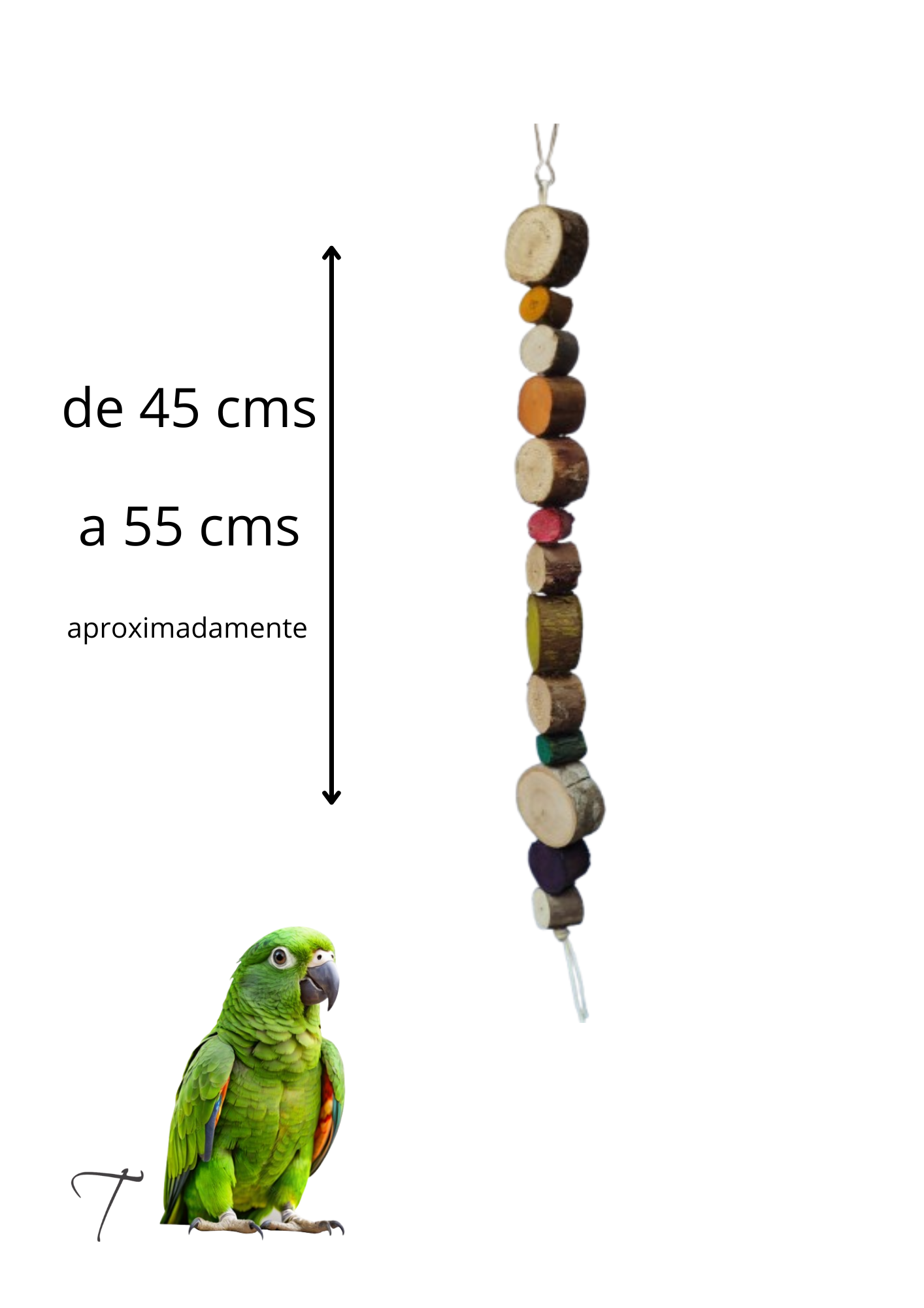 Bicador color col orgânica simples kit 2 unidades - Imagem 2