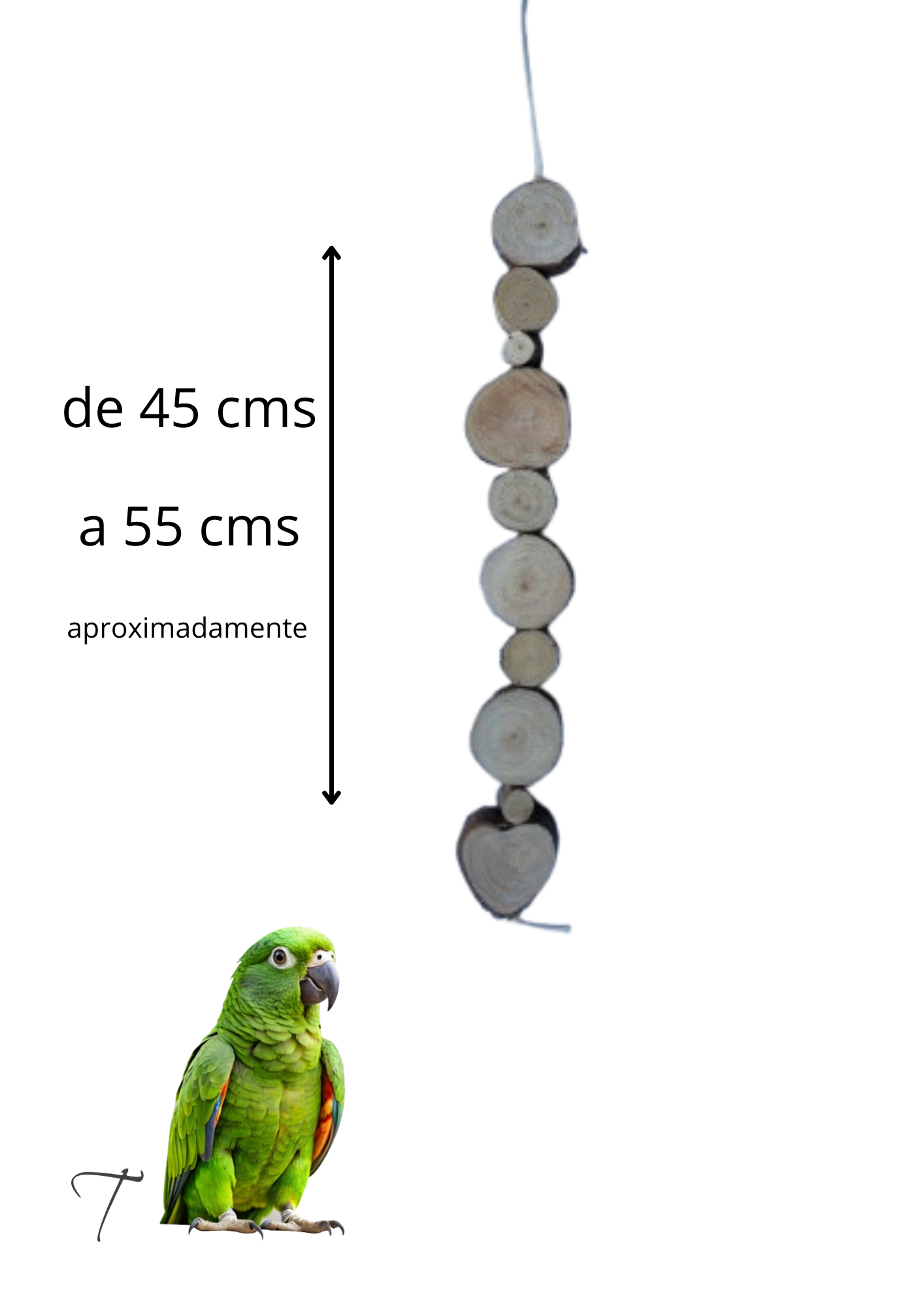 Bicador rústico col orgânica simples kit 2 unidades - Imagem 2