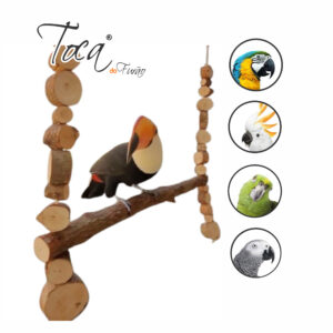 Balanço cru coleção orgânica