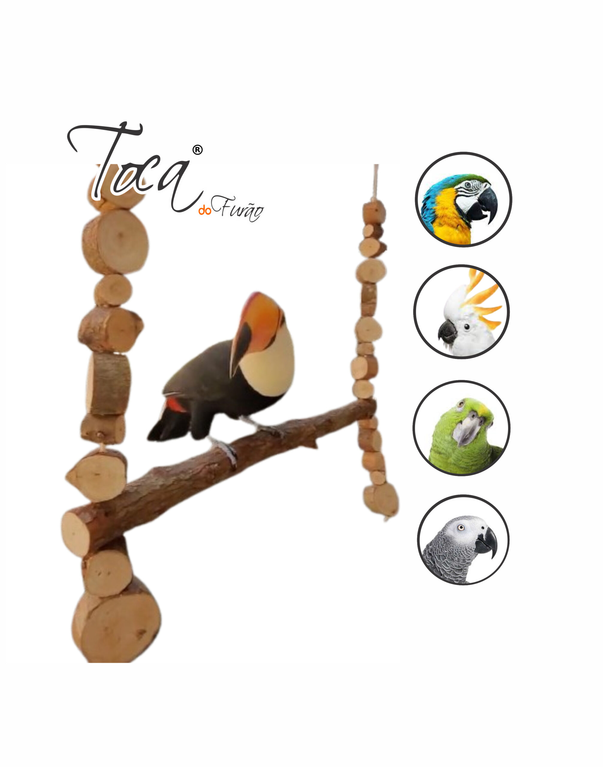 Balanço cru coleção orgânica